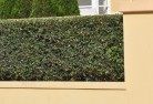 Thinoombabarrier-wall-fencing-2.jpg; ?>